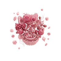 Gemini_Generated_Image_vjmr9uvjmr9uvjmr 1-3